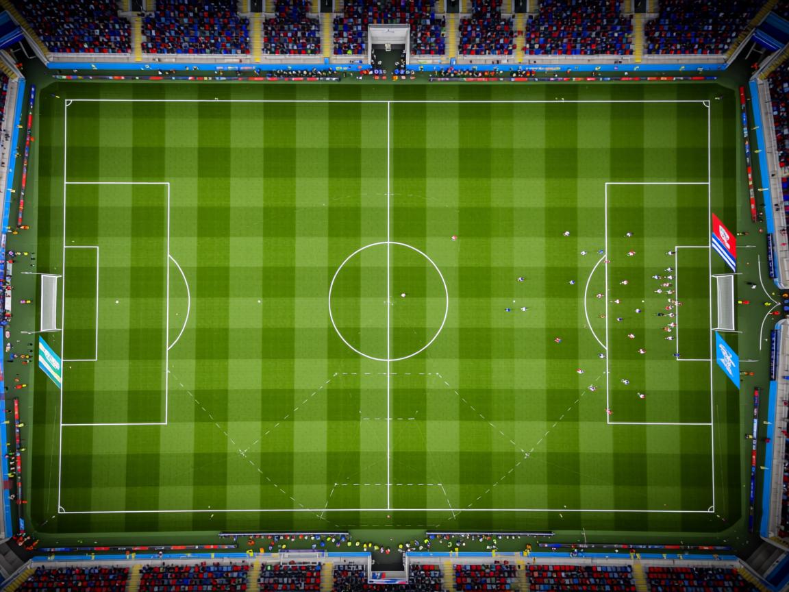 开云体育官网-女子仰泳新秀异军突起，女子仰泳运动员  第3张