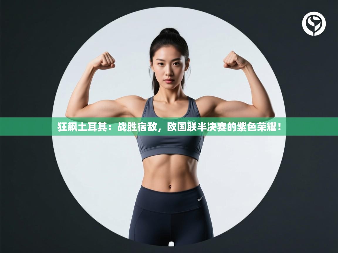 狂飙土耳其：战胜宿敌，欧国联半决赛的紫色荣耀！  第1张