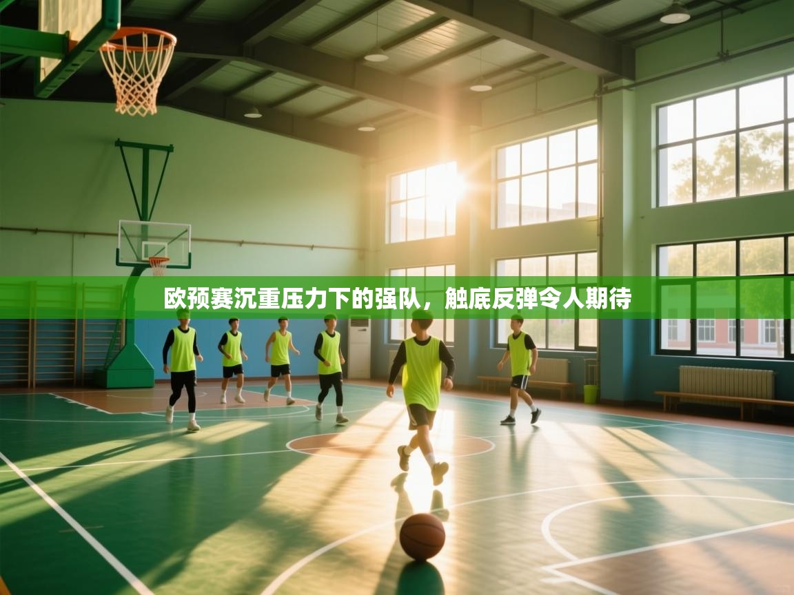 欧预赛沉重压力下的强队,触底反弹令人期待 第2张